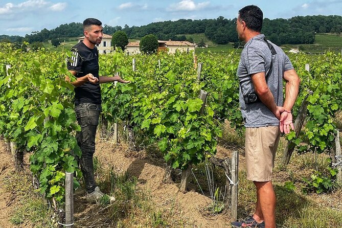 Saint-Émilion: 2 hours - Visit of the vineyard, the cellar and tasting - Key highlights before you go