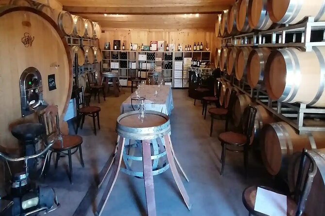 Saint-Émilion: 2 hours - Visit of the vineyard, the cellar and tasting - The 4-wine tasting at the end: rosé to Grand Cru
