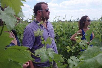 Saint-Émilion: 2 hours - Visit of the vineyard, the cellar and tasting - Barrel cellar aging: where the wine changes its texture and style
