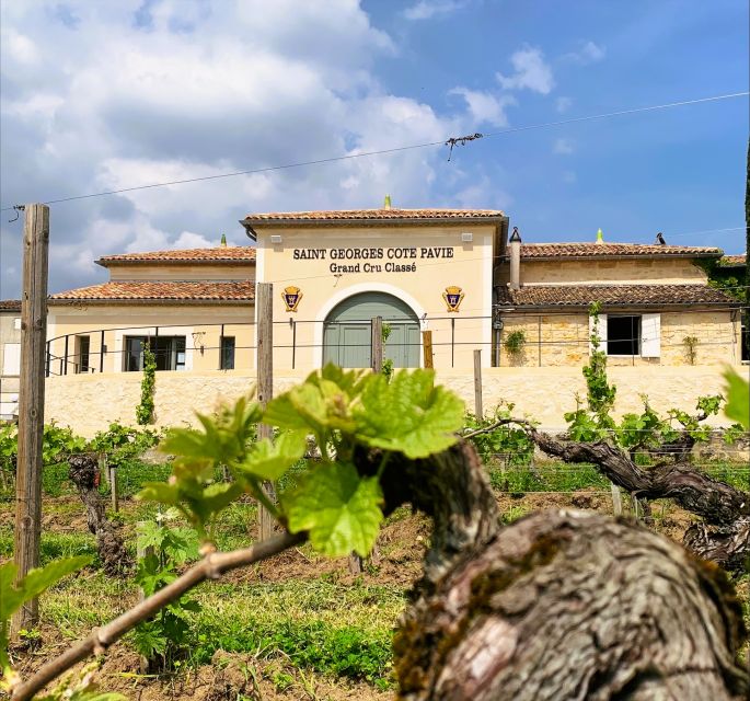 Saint-Émilion: Bordeaux Vineyard Tour and Wine Tasting - Finding the place: walkable from Saint-Émilion station and center