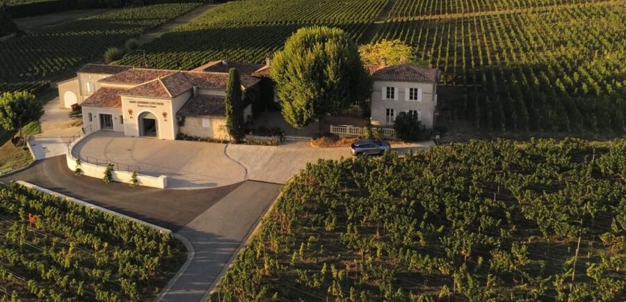 Saint-Émilion: Bordeaux Vineyard Tour and Wine Tasting - Price and group size: what $21 really buys you