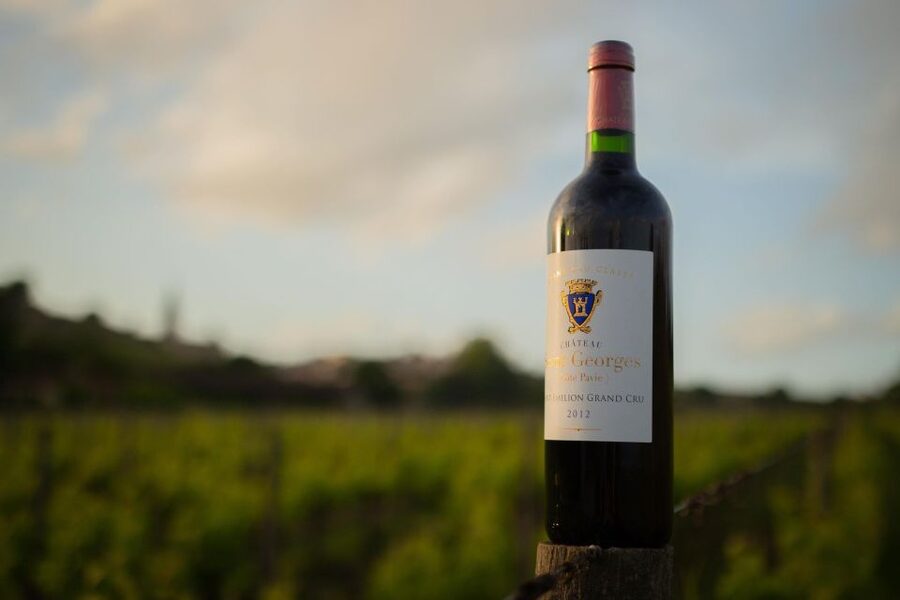 Saint-Émilion: Bordeaux Vineyard Tour and Wine Tasting - Who this tour is best for (and who should skip it)
