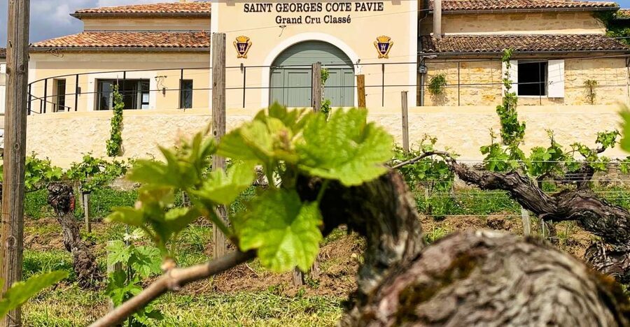 Saint-Émilion: Bordeaux Vineyard Tour and Wine Tasting - Should you book Château Saint-Georges Côte Pavie?