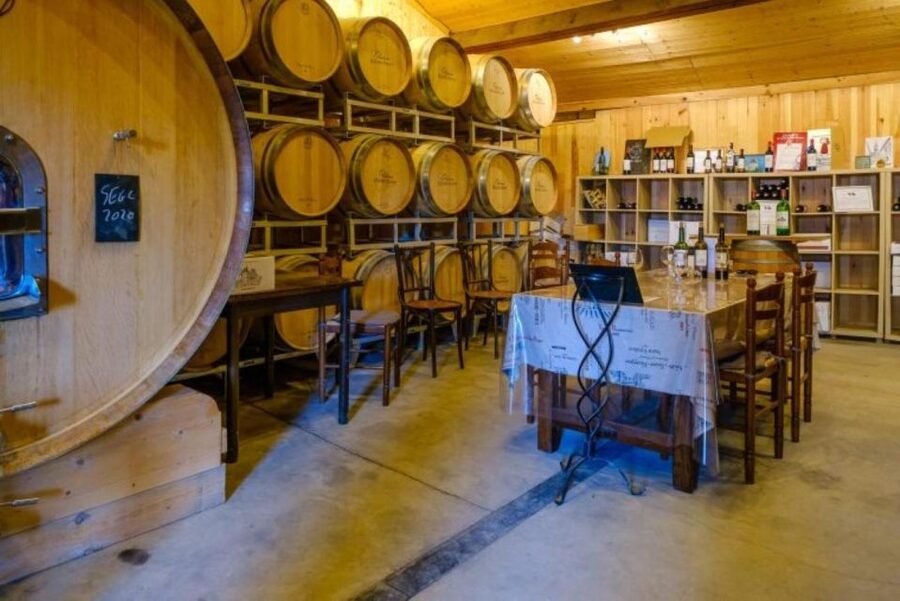 Saint-Émilion: Family Vineyard Visit with Wine Tasting - Should You Book This Château Haute-Nauve Family Visit?