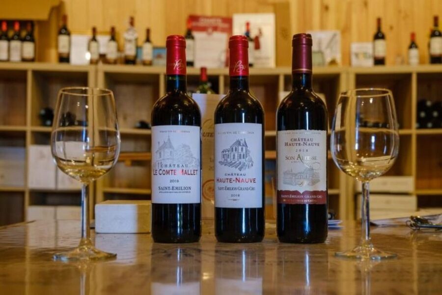Saint-Émilion: Family Vineyard Visit with Wine Tasting - Vineyard Walk and the Family Timeline Since 1930