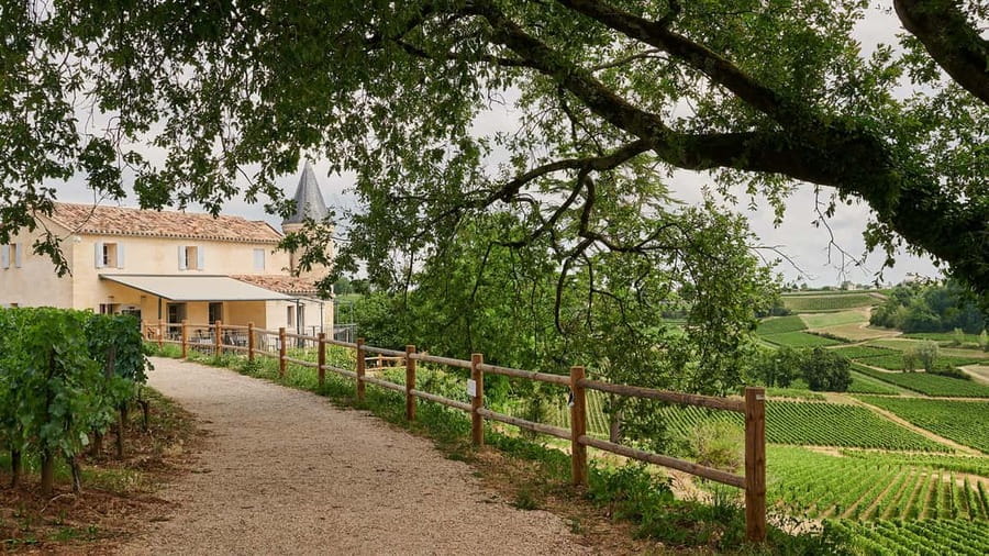 Saint-Emilion: Grand Cru Classé Guided Winery Visit & Picnic - Meeting Point and What the 2 Hours Actually Includes