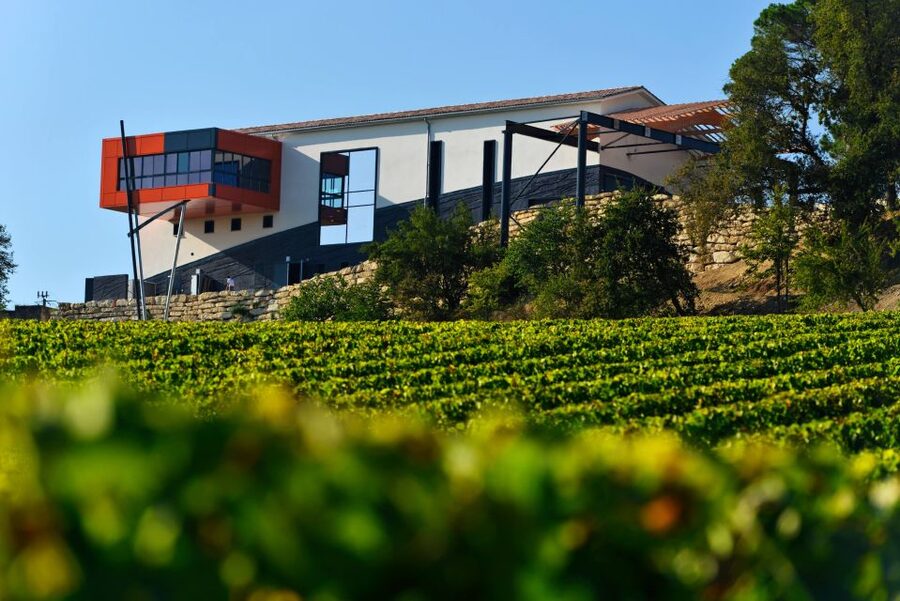 Saint-Émilion: Grand Cru Classé Winery Visit and Tasting - Logistics that can make or break your day