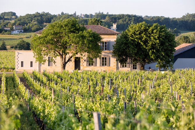 Saint Emilion Half-Day Trip with Wine Tasting & Winery Visit from Bordeaux - Price and value: is $133.02 worth it?