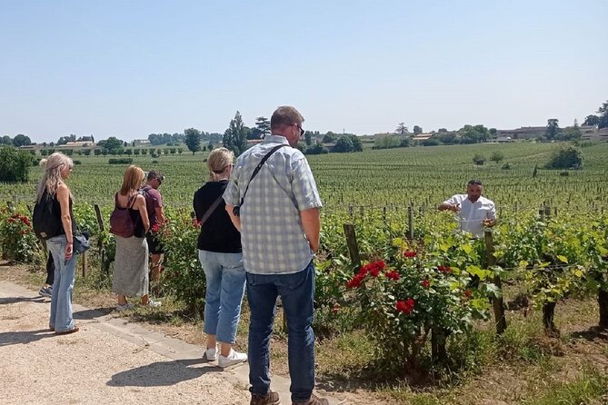 Saint Emilion Morning Wine Tour - Winery & Tastings from Bordeaux - What’s Included, What to Budget For, and Why It Matters