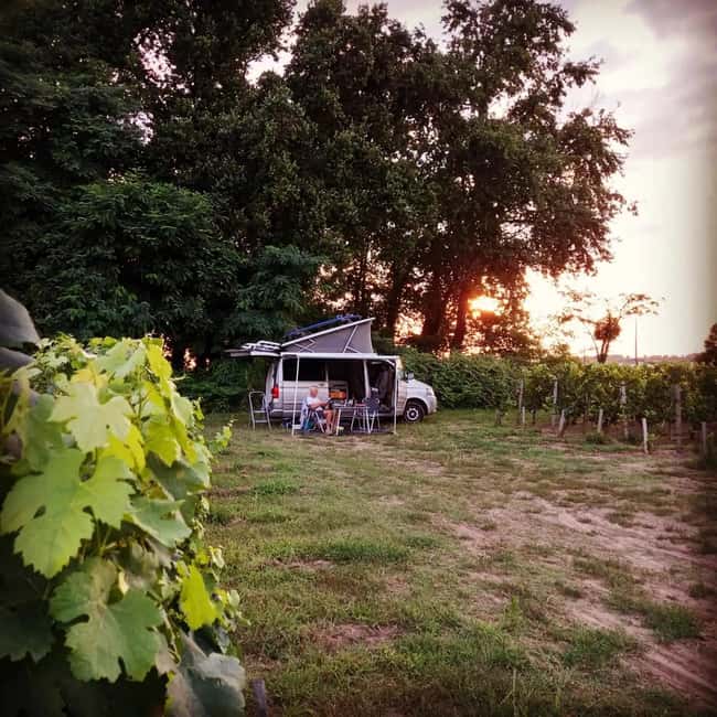 Saint-Emilion : Tasting of 4 wines in a family vineyard - How the tasting compares terroirs without dragging you across the region