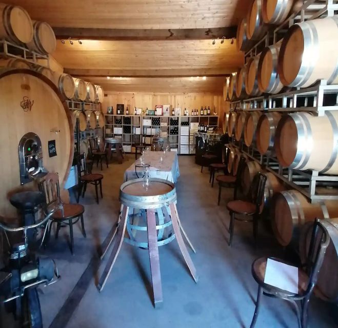 Saint-Émilion: Vineyard Walking Tour and Tasting - Key Points Worth Noting