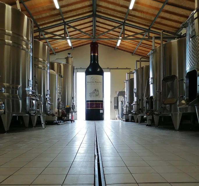 Saint-Émilion: Vineyard Walking Tour and Tasting - Vineyard Walk With Marie-Anne or Florent: Seasons, Plots, and Real Farming