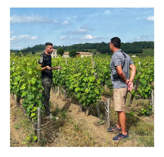 Saint-Émilion: Vineyard Walking Tour and Tasting - Browsing the Estate Collection and Bringing Bottles Home