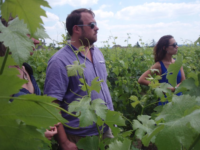Saint-Émilion: Vineyard Walking Tour and Tasting - Meeting Château Haute-Nauve: Parking Near Solar Panels and the Purple Sign