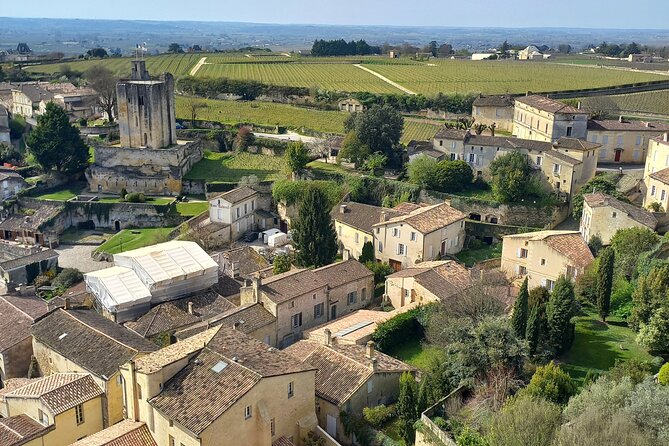 Saint-Émilion Wine Tour: Winery and Village - Stop 1: A Family-Run Organic Winery (Vat Room, Barrel Cellar, Then Tasting)