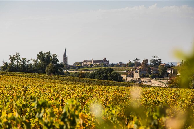 Saint-Émilion Wine Tour: Winery and Village - Stop 2: Guided Saint-Émilion Village Walk (Medieval Streets + Photo Stops)