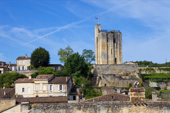 Saint-Émilion Wine Tour: Winery and Village - Start at Cité du Vin: The Meeting Point That Sets the Pace