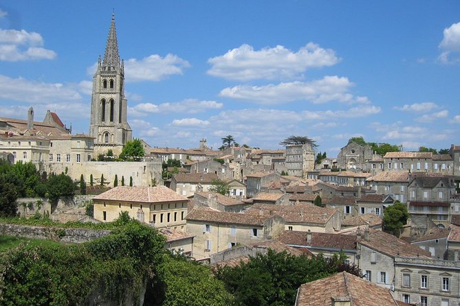 Saint-Emilion Winery Morning Tour with Local Guide - Key things to know before you go
