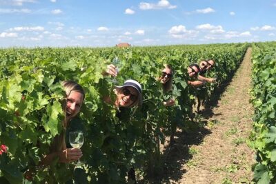 Saint-Emilion Winery Morning Tour with Local Guide - Walking the UNESCO Village of Saint-Émilion for About One Hour