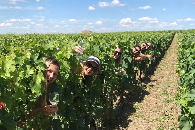 Saint-Emilion Winery Morning Tour with Local Guide - Walking the UNESCO Village of Saint-Émilion for About One Hour