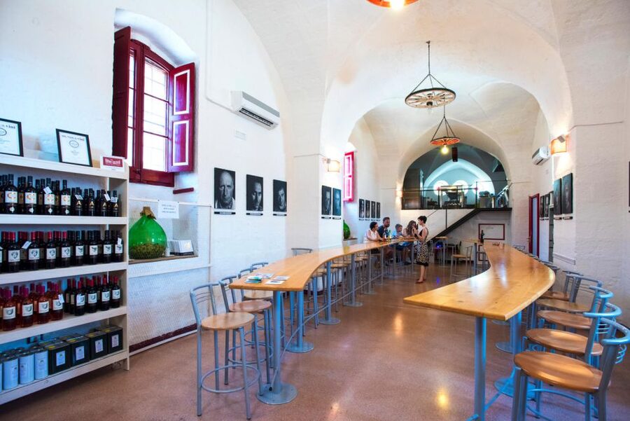 Salento Wine Tradition: Historic Cellar Visit & Tasting - Key Highlights You’ll Feel Fast