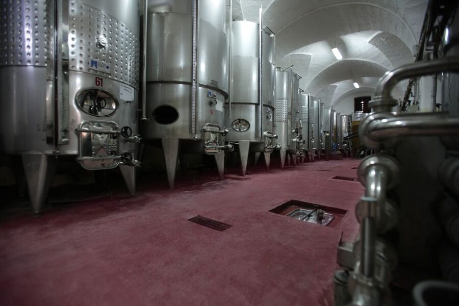 Salento Wine Tradition: Historic Cellar Visit & Tasting - Taralli Pairing: Why the Snack Matters