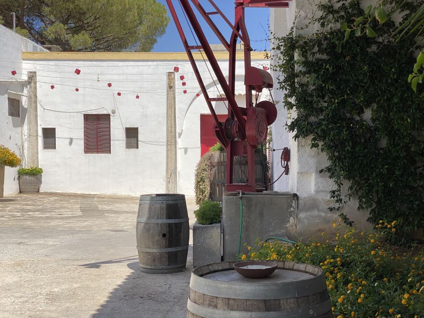 Salento Wine Tradition: Historic Cellar Visit & Tasting - What the Guide Adds (Beyond Facts)