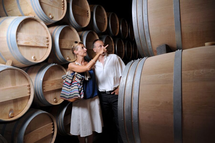 Salento Wine Tradition: Historic Cellar Visit & Tasting - Price and Value: Does $37 Actually Make Sense?
