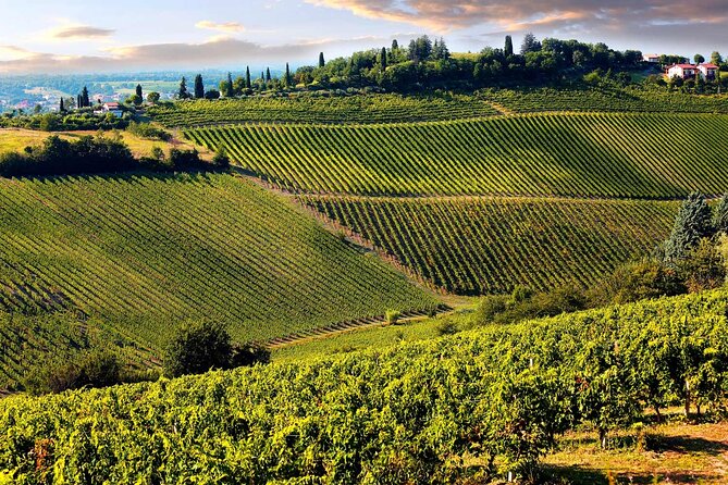 San Gimignano and Winery Experience with Light Lunch from Lucca - Time in Siena and San Gimignano: great scenery, but don’t expect unlimited hours