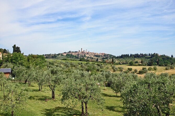 San Gimignano and Winery Experience with Light Lunch from Pisa - Price and Value: What You’re Really Paying For