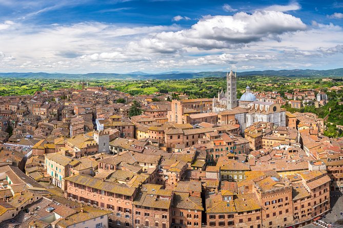 San Gimignano and Winery Experience with Light Lunch from Pisa - Who This Tour Suits (and Who Might Want Something Else)