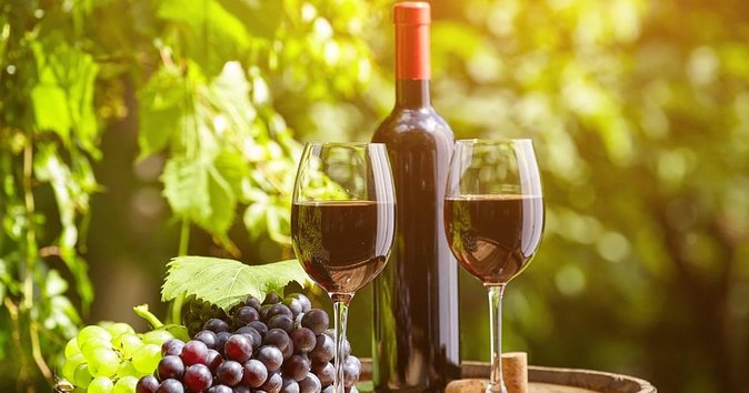 San Gimignano and Winery Experience with Lunch from Livorno - Tuscany winery time: wine tasting, olive oil, and lunch that lands