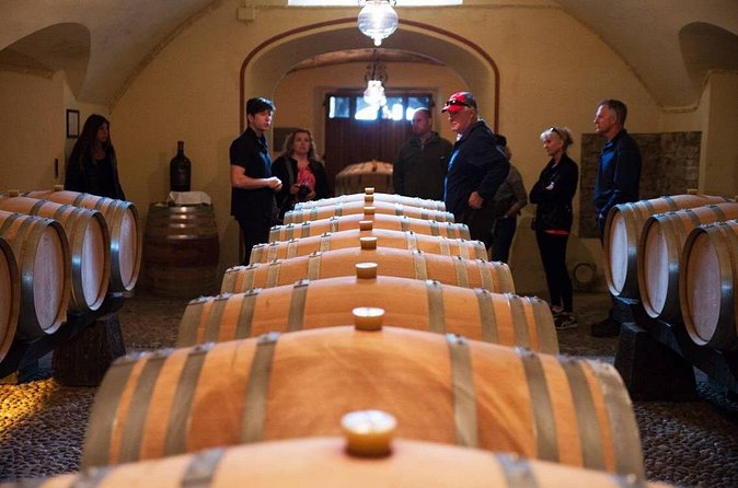 San Gimignano and Winery Experience with Lunch from Livorno - Who should book this San Gimignano winery day