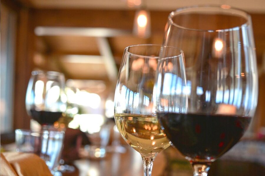 San Gimignano: Lunch or Dinner at a Winery with Wine Tasting - How many wines and olive oil tastes to expect