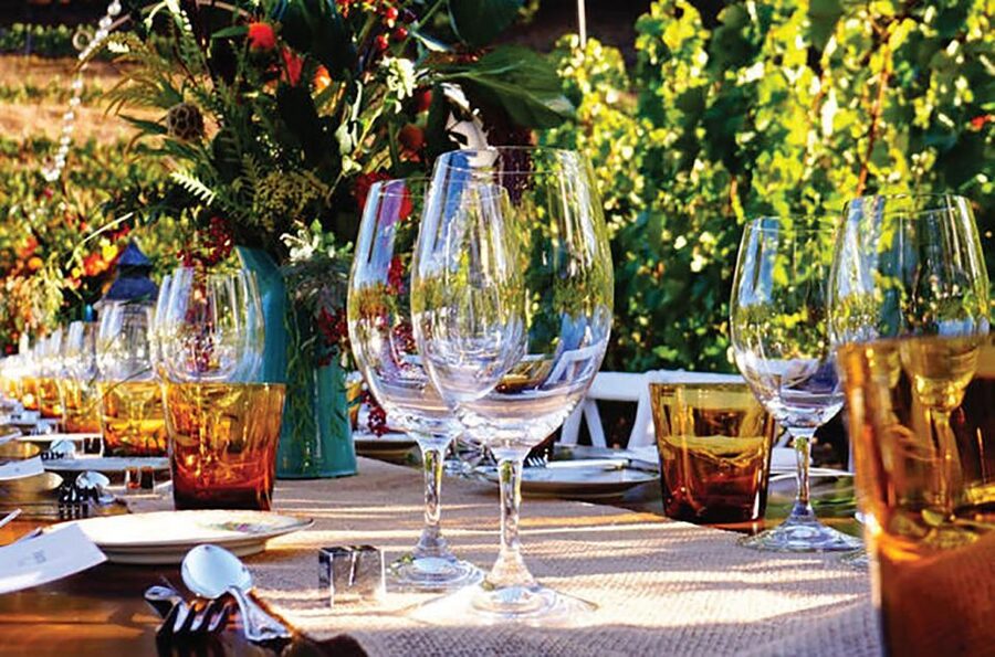 San Gimignano: Romantic Vineyard Dinner - Vineyard Dinner at Tenuta Torciano: What You’re Really Buying