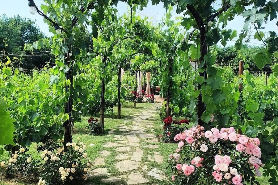 San Gimignano: Romantic Vineyard Dinner - Your Wine Expert and the Tasting Skills That Stick