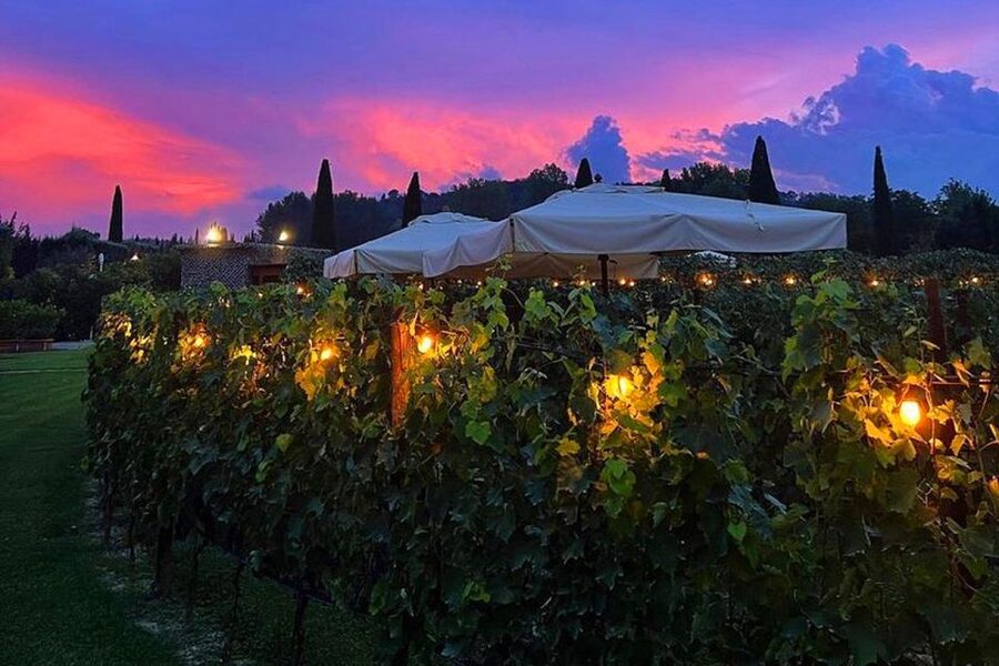 San Gimignano: Romantic Vineyard Dinner - Tuscan Dinner in a Vineyard: The Pairing Game Done Right