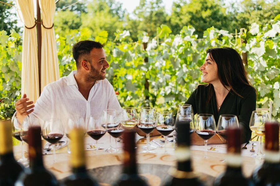 San Gimignano: Tuscan Vineyard Lunch with Wine Tasting - Tenuta Torciano Winery: where your vineyard lunch actually happens