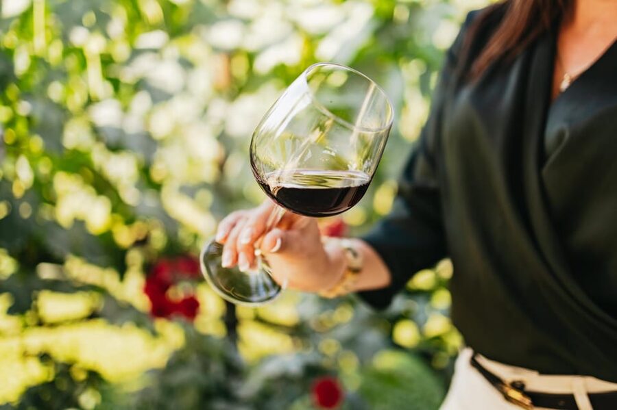 San Gimignano: Tuscan Vineyard Lunch with Wine Tasting - The traditional Tuscan meal: what you’re really paying for