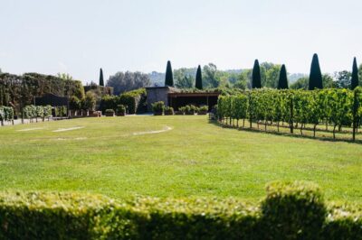 San Gimignano: Tuscan Vineyard Lunch with Wine Tasting - How the 2-hour tasting and lunch flows (and how to plan for it)