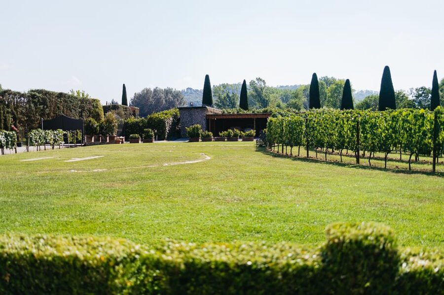San Gimignano: Tuscan Vineyard Lunch with Wine Tasting - How the 2-hour tasting and lunch flows (and how to plan for it)