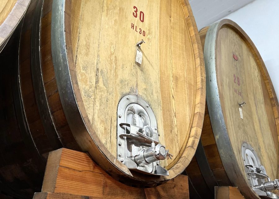 San Gimignano: Vineyard and Cellar Tour with Wine Tasting - A Few Tips to Get More Out of Your 90 Minutes