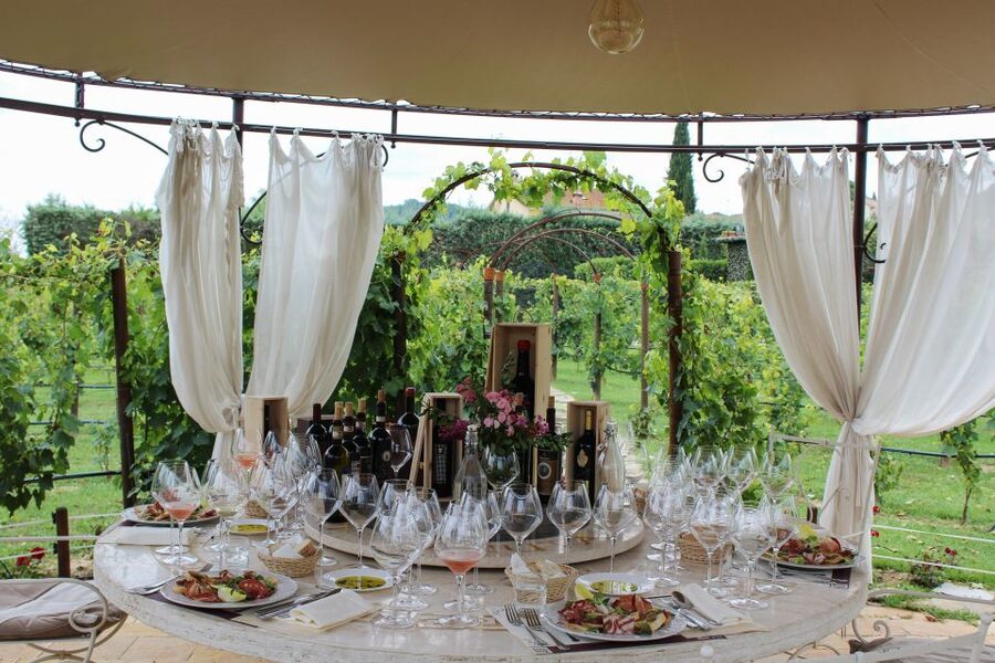 San Gimignano: Vineyard Walk with Wine Tasting in winery - Barrel room and cellar time: where aging work meets real-world smells