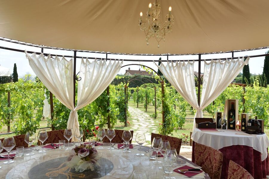 San Gimignano: Vineyard Walk with Wine Tasting in winery - Price and value: is $100 for 1.5 hours a fair deal?