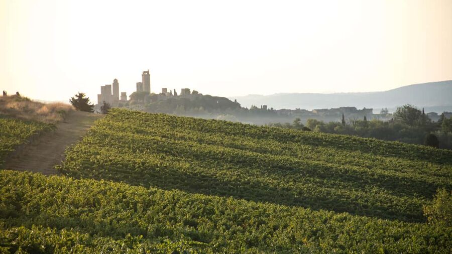 San Gimignano: Wine and Food Tasting in a Family Winery - Getting There from San Gimignano: Plan for the Countryside