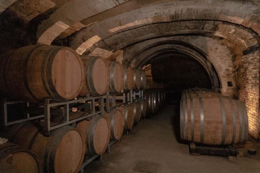 San Gimignano: Wine and Food Tasting in a Family Winery - Eight Organic Wines Plus Tuscan Food: How the Tasting Flows