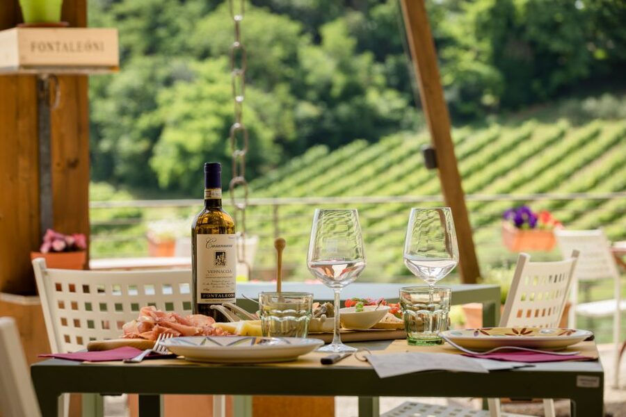 San Gimignano: Winery Tour with Wine Tasting and Lunch - Inside the cellar: learning wine from the production side