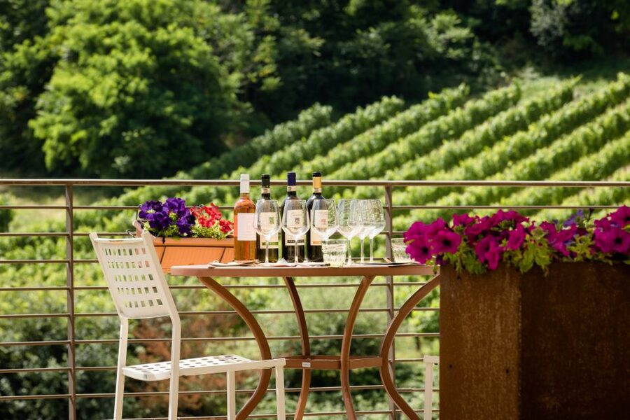 San Gimignano: Winery Tour with Wine Tasting and Lunch - Grappa at the end: a small pour with a lot of personality