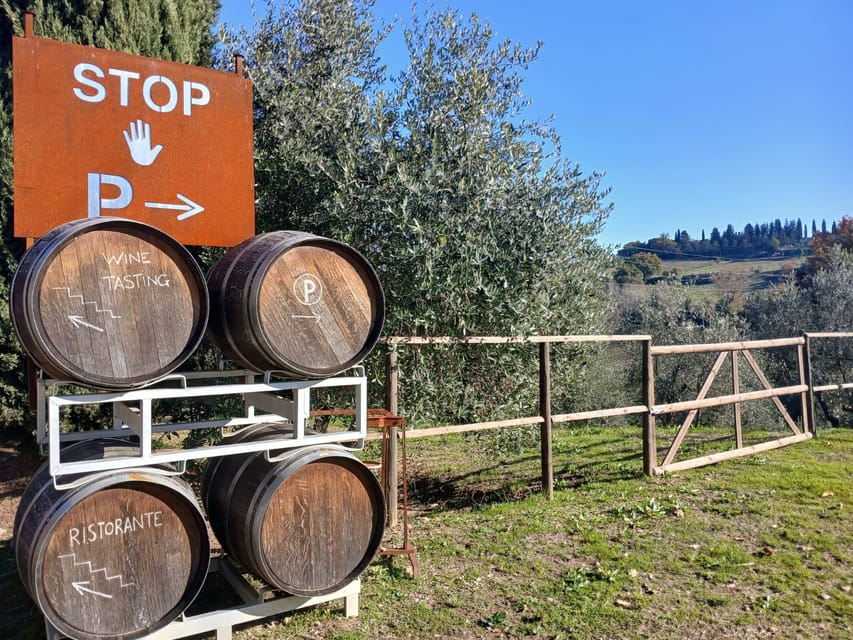 San Gimignano: Winery Visit with Picnic in Olive Grove - Price and what you’re really paying for: is $59 worth it?