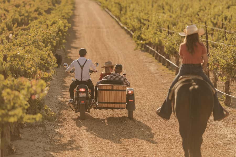 San Luis Obispo: Vineyard Rides Wine Adventure - Key Highlights You’ll Feel Fast